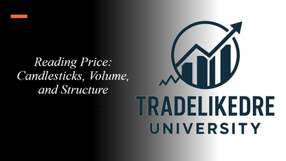 Beginner Trading Path