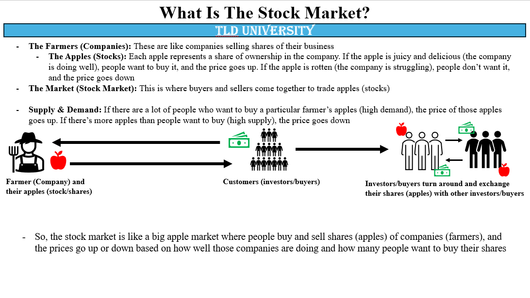 Beginner Trading Path