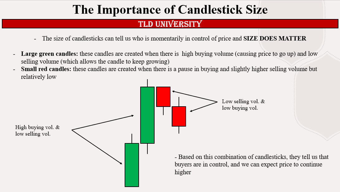Beginner Trading Path