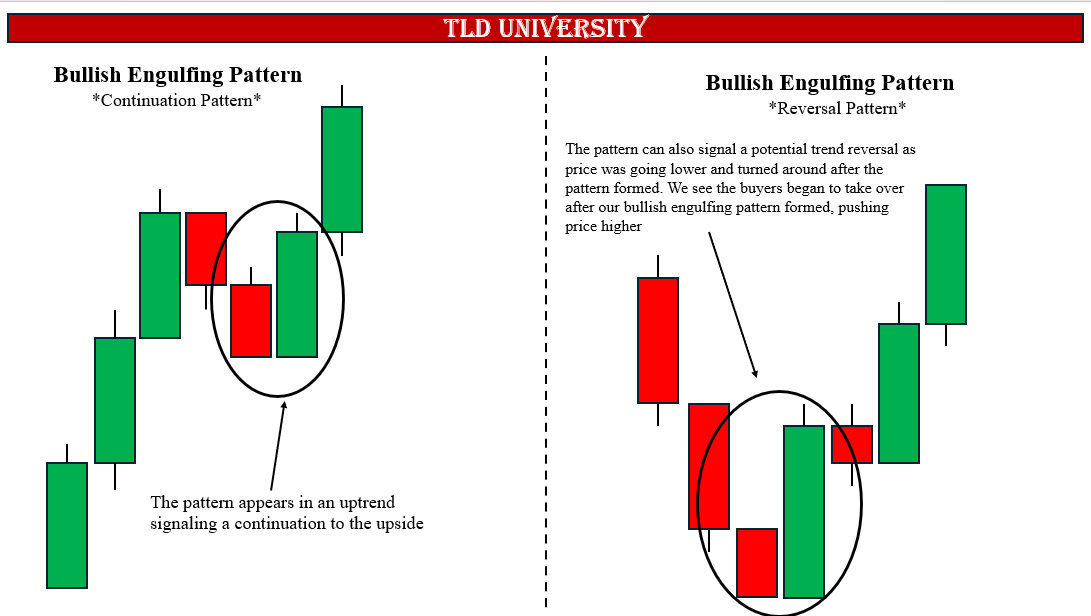 Beginner Trading Path